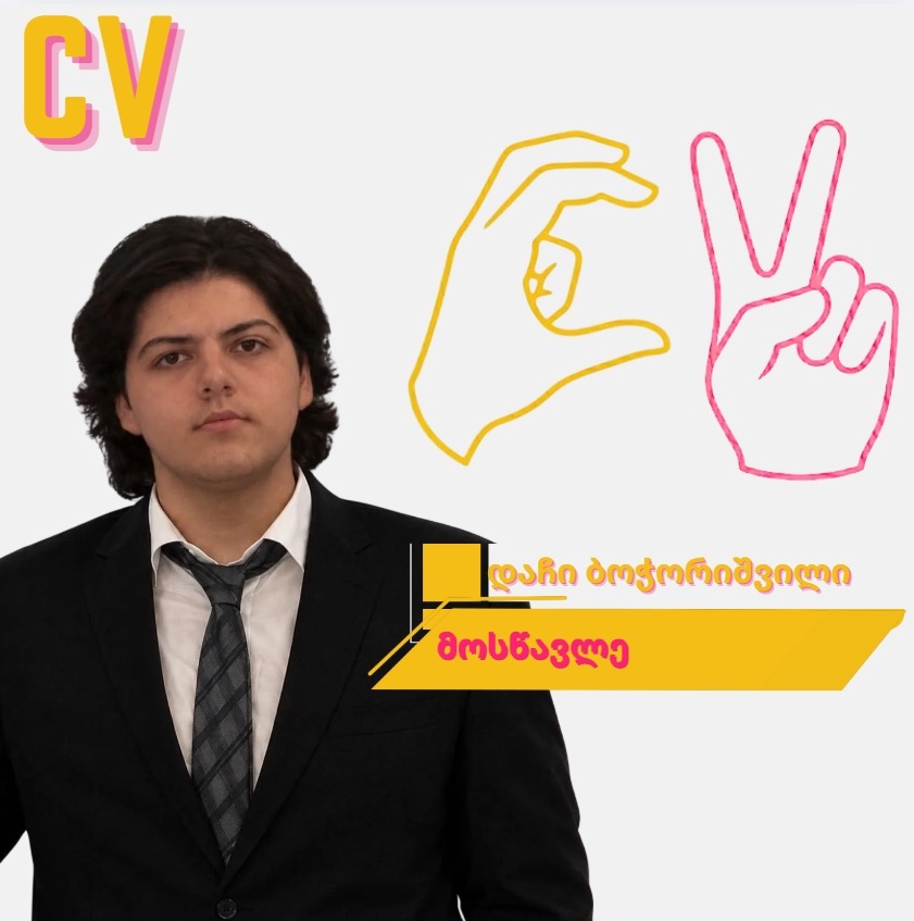 Dachi Bochorishvili — Curriculum Vision profile card