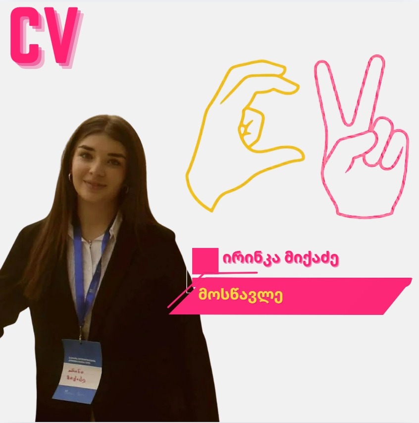 Irinka Mikadze — Curriculum Vision profile card
